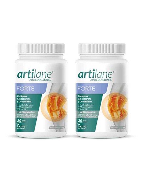 ARTILANE PACK FORTE POLVO (1)