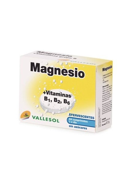 VALLESOL EFERV MAGNESIO 24 COMP