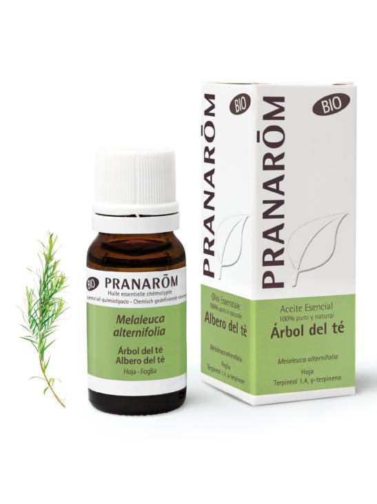 ACEITE ESENCIAL ARBOL DEL TE BIO  1 ENVASE 10 ML