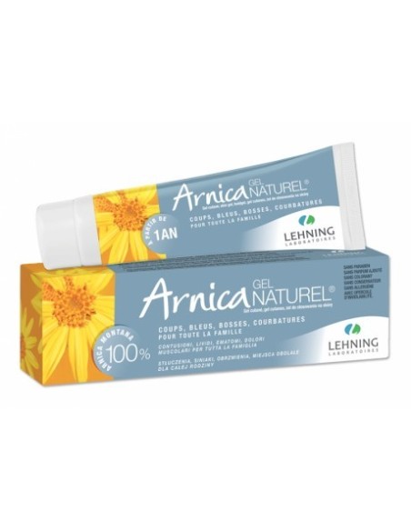 ARNICA LEHNING GEL  1 ENVASE 50 G