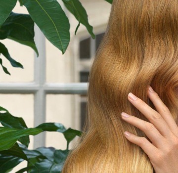 Cuida tu cabello y uñas con Phytopanere: ¡El suplemento natural imprescindible!