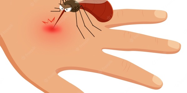 Picaduras de Mosquitos y Repelentes Goibi